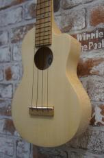 Ezo's Ukulele Through Neck Coustom_4