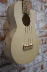 Ezo's Ukulele Through Neck Coustom_5