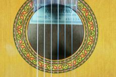 Jose Antonio [ホセ・アントニオ] 8C　杉/ローズウッド