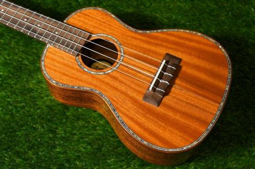 DCT DUC-300M Concert