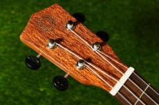 DCT DUC-300M Concert_5