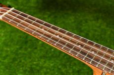DCT DUC-300M Concert_7