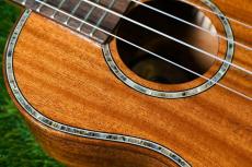 DCT DUC-300M Concert_9
