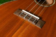 DCT DUC-300M Concert_11