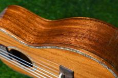 DCT DUC-300M Concert_13