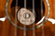 DCT DUC-300M Concert_15