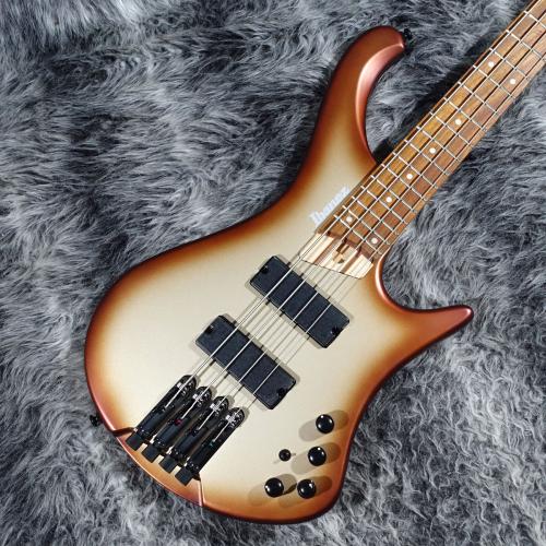 Ibanez EHB600 Charred Champagne Burst Matte