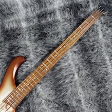 Ibanez EHB600 Charred Champagne Burst Matte_3