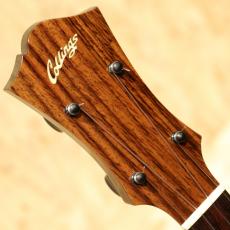Collings UC-2 2010's_8