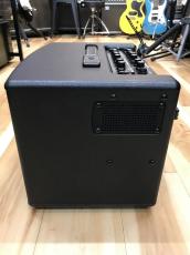 Roland AC-60 Acoustic Chorus_5