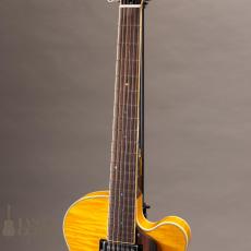 Rozeo Ladybug-CB CM HB/SS/Vintage Amber_4