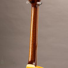 Rozeo Ladybug-CB CM HB/SS/Vintage Amber_7