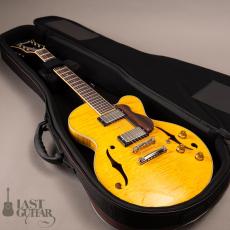 Rozeo Ladybug-CB CM HB/SS/Vintage Amber_12