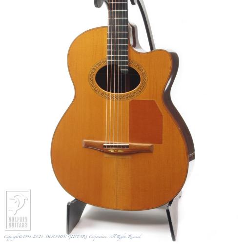 Bert Kwakkel Custom Steel Strings (Jacaranda)