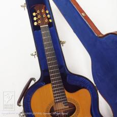 Bert Kwakkel Custom Steel Strings (Jacaranda)_8