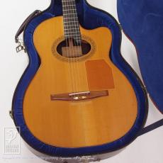 Bert Kwakkel Custom Steel Strings (Jacaranda)_10