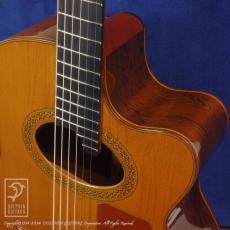 Bert Kwakkel Custom Steel Strings (Jacaranda)_14