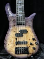 Spector EURO 5 CST VLT