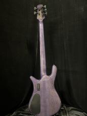 Spector EURO 5 CST VLT_5