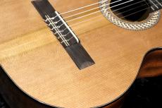 Orpheus Valley Guitars 【チューナー・ソフトケースサービス!】sofia S53 杉  【530mmスケール】【ミニギター】【池袋店在庫品】_3