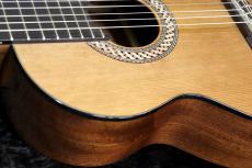 Orpheus Valley Guitars 【チューナー・ソフトケースサービス!】sofia S53 杉  【530mmスケール】【ミニギター】【池袋店在庫品】_6