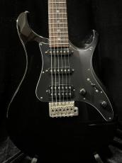Paul Reed Smith [PRS] SE EG
