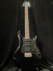 Paul Reed Smith [PRS] SE EG_2