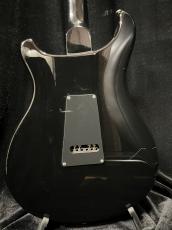 Paul Reed Smith [PRS] SE EG_4