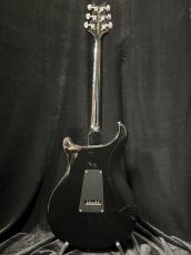 Paul Reed Smith [PRS] SE EG_5
