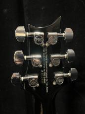 Paul Reed Smith [PRS] SE EG_6