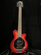 Pignose PGG-200FM SR_2