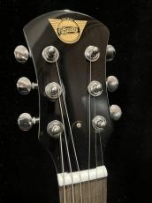 Pignose PGG-200FM SR_3