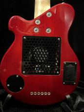 Pignose PGG-200FM SR_4