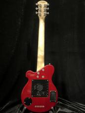 Pignose PGG-200FM SR_5