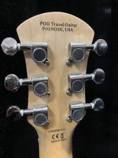 Pignose PGG-200FM SR_6