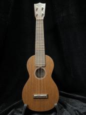 Martin S1 UKE_2