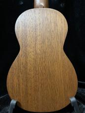 Martin S1 UKE_4