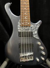 FREEDOM CUSTOM GUITAR RESEARCH Dulake Libero-5st