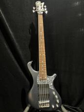FREEDOM CUSTOM GUITAR RESEARCH Dulake Libero-5st_2