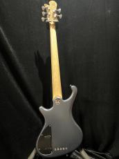 FREEDOM CUSTOM GUITAR RESEARCH Dulake Libero-5st_4