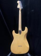 Fender Stratocaster Hardtail '76 Mod_4