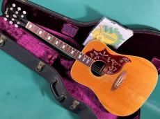 Gibson HUMMINGBIRD NT