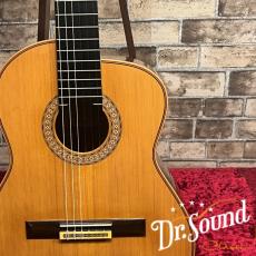 アルトギター/レキントギターの検索結果1～10件【楽器検索｜Jギター】