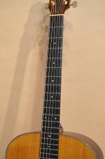 Taylor 714 with Anthem　2006年製_6