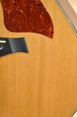 Taylor 714 with Anthem　2006年製_14