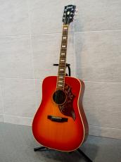 Gibona WG-250_2