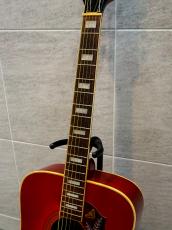 Gibona WG-250_3