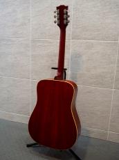 Gibona WG-250_9