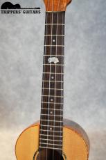 Island Traditions (Pegasus) Concert Custom (2000年代)_7