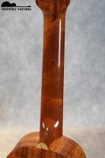 Island Traditions (Pegasus) Concert Custom (2000年代)_9